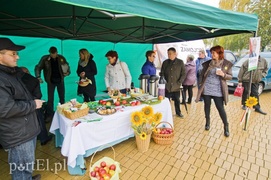 Piknikowe łowienie wyborców