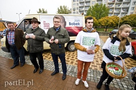 Piknikowe łowienie wyborców