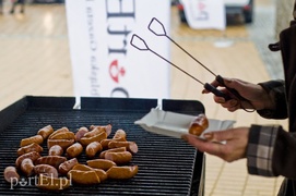Piknikowe łowienie wyborców