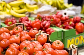 Nowy Lidl w Elblągu już otwarty