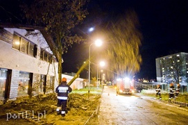 Mocno wieje, uwaga na drzewa