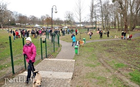 Psy będą mogły się tu wyszaleć do woli