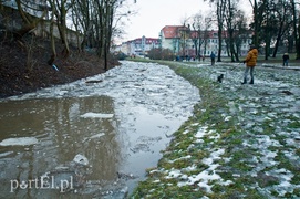 Kra zatrzymała Kumielę