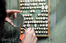 Jak elblążanie radzili sobie z miłością