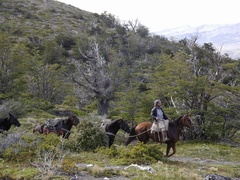 Pan Magier podbija Amerykę na rowerze