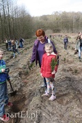 Elblążanie posadzili 700 choinek