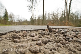 Jelenia Dolina: obraz nędzy i rozpaczy