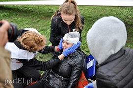Wypadki w parku Planty