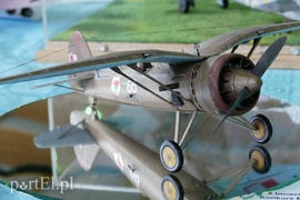 Modelarze na medal