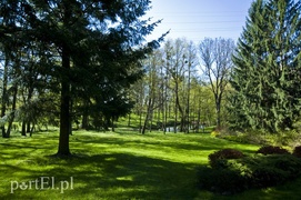 Dwór pełen przedsiębiorców