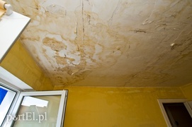 Żyją bez dachu nad głową
