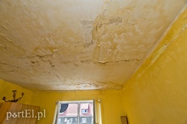 Żyją bez dachu nad głową