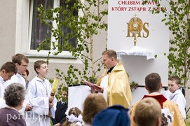 Świadectwo wiary