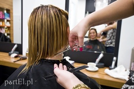 Ósmy tydzień Metamorfozy