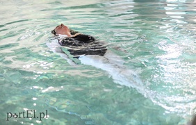 Ósmy tydzień Metamorfozy