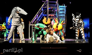 W podskokach wyruszą w podróż do Afryki