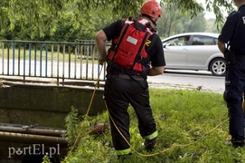 Utonęła podczas ulewy