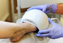 Jedenasty, ostatni tydzień Metamorfozy