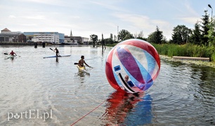 Nie ma chętnego do kierowania MPO