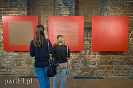 Codemanipulator w Galerii EL