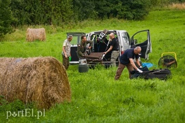 Balony królują nad Pasłękiem