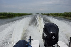 Nuda, nic się nie dzieje. I dobrze