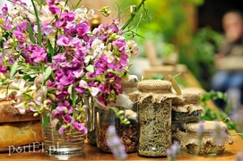 Seniorzy przenieśli się w świat lawendy