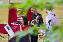 Ptaki dały jazzu