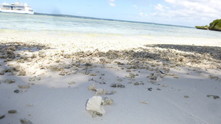 Lifou. Trudno bez ochronnych butów spacerować w wodzie i po plaży