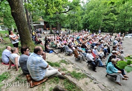 Leśny koncert na klarnet