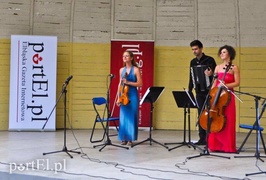 To było dobrze zgrane trio