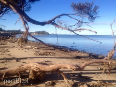 Jej domem jest cały świat  (Podróże małe i duże, odc. 6) 