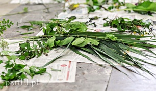 Łąka w szklance i na talerzu