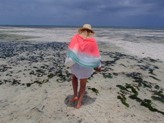 Odpływ oceanu. Zanzibar.