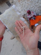 Zanzibarskie kobiety szyją rybią ością...