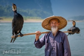 Rybak z Yangshuo i jego kormorany. (Chiny)