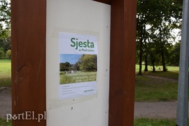 Sjesta dla małych i dużych