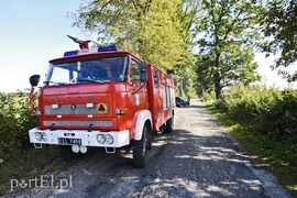 19-latka w audi uderzyła w drzewo
