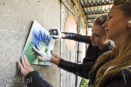 Punki z Niezapominajki