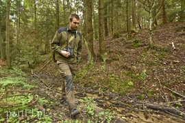 Wilk nie jest ani dobry, ani zły