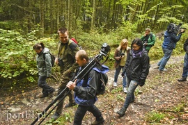 Wilk nie jest ani dobry, ani zły
