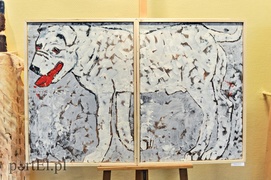 Dokąd zmierzasz Warmio?