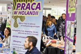 Praca czekała na targach