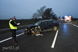 Tragiczny wypadek na drodze nr 7
