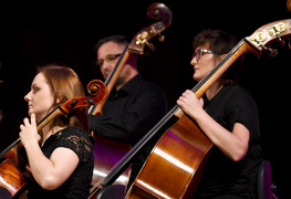 Z koncertów parkowych na salony