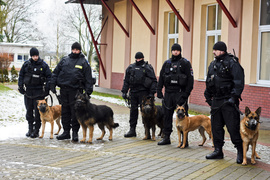 Jak Stonoga prokuratora szukał (komentarz)