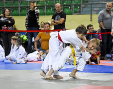 Walczyły nadzieje judo