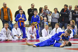 Walczyły nadzieje judo
