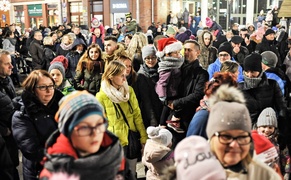 Jej wysokość choinka