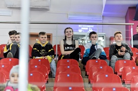 Mali Wikingowie w ataku